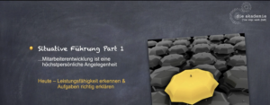 situativ führen